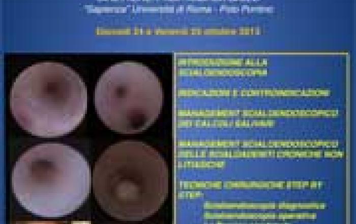 SCIALOENDOSCOPIA DIAGNOSTICA E OPERATIVA